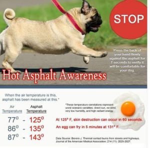 Hot Asphalt Awareness