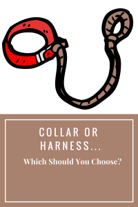 collar-harness-which-should-you-choose