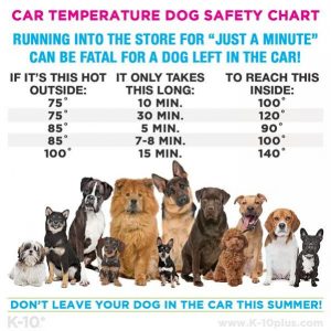 CarTempDogSafety