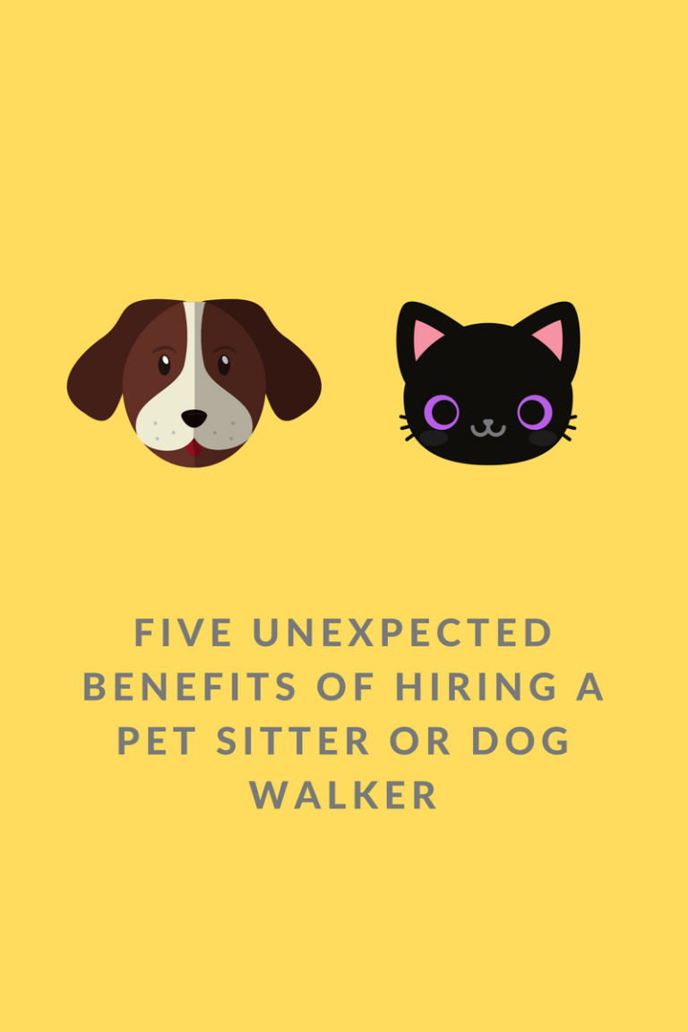 Five Unexpected Benefits of Hiring a Pet Sitter or Dog Walker Furry