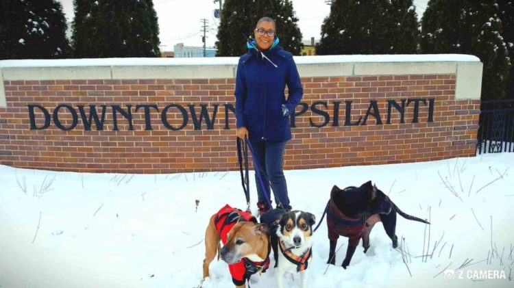 Furry Footsteps Pet Sitter Millicent walking three dogs